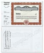 Stock Certificate "723 Series" Package of 100	 comes in brown, blue, green and red, visit AtoZstamps.com 11 x 8 1/2 w/3" stub