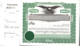 GOES 196 Corporate Stock Certificates	printed with standard corporate wording, company name, state, par value of stock, titles of signers, type of stock and total authorized shares, visit AtoZstamps.com