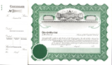 Massachusetts Stock Certificates - GOES 113 (Set of 20)	 is a set of 20 custom printed Deluxe goes M113 Massachusetts Corporate Stock Certificates printed with company name, state, par value & total authorized shares, AtoZstamps.com